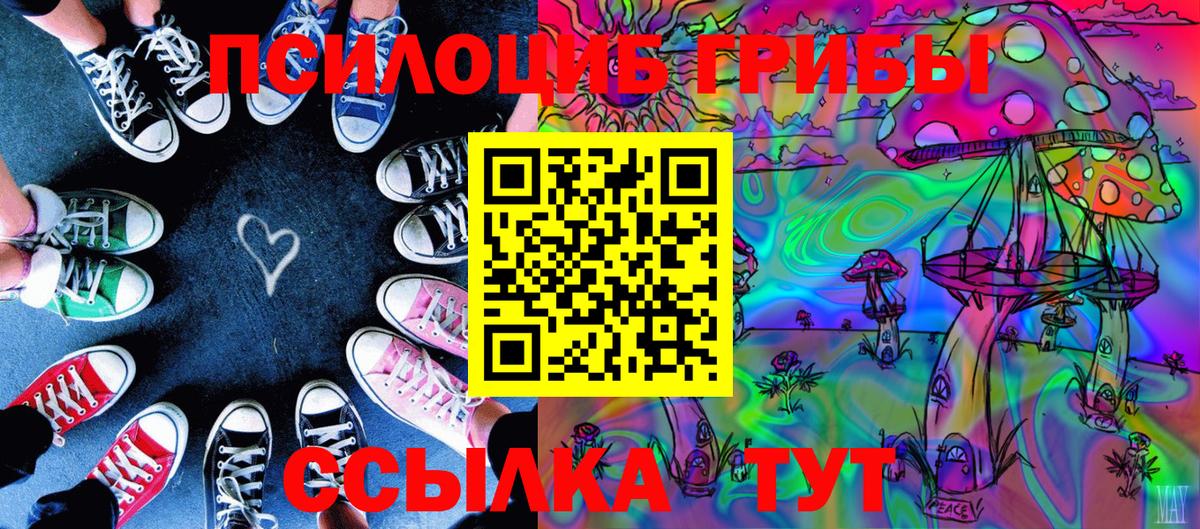 Вышний Волочёк  Галлюциногенные грибы MAGIC MUSHROOMS  Вход с VPN 